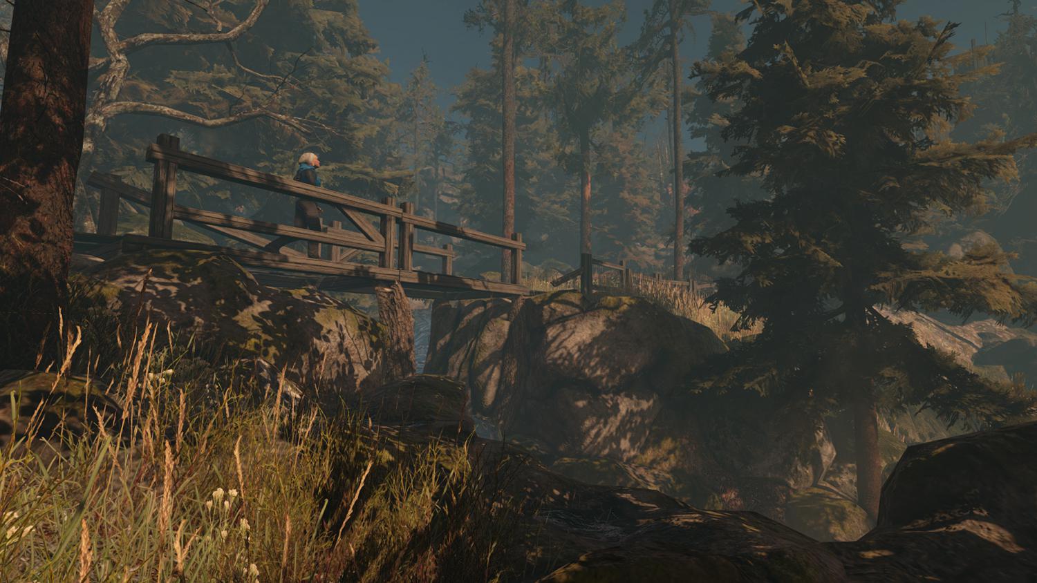 Through the Woods