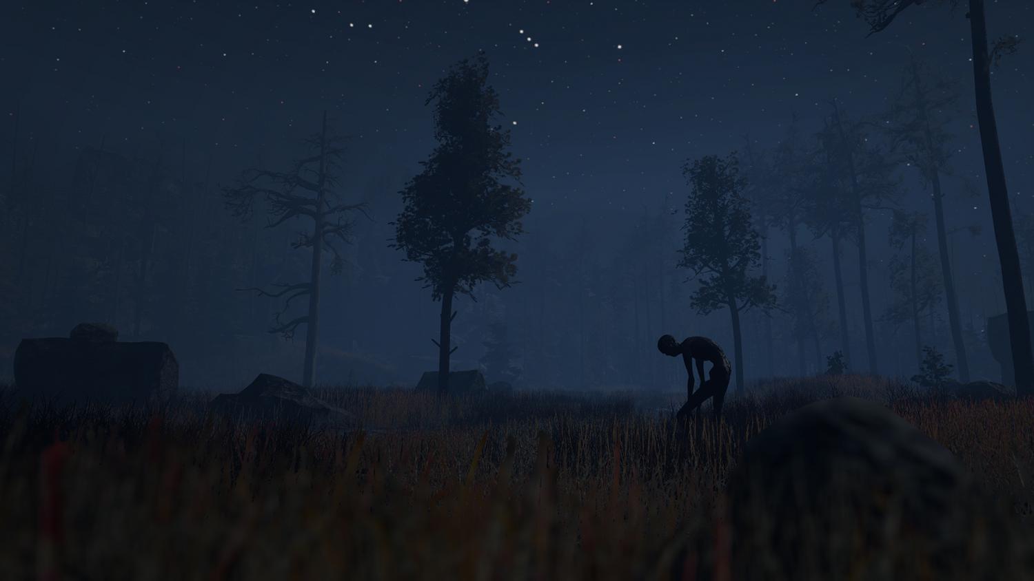 Through the Woods: Digital Collector's Edition