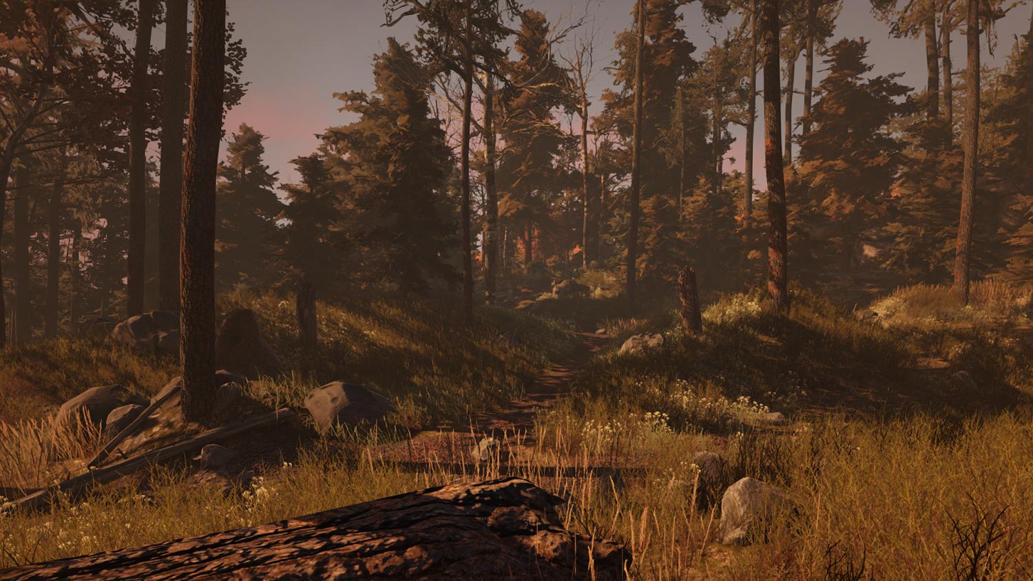 Through the Woods: Digital Collector's Edition