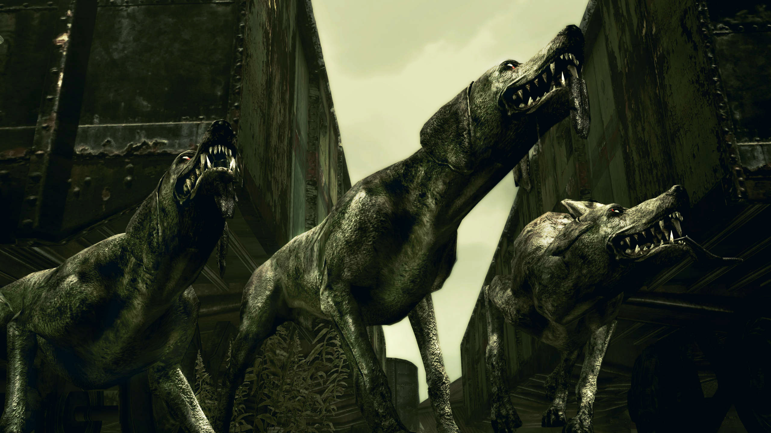 Resident Evil 5 Gold Edition