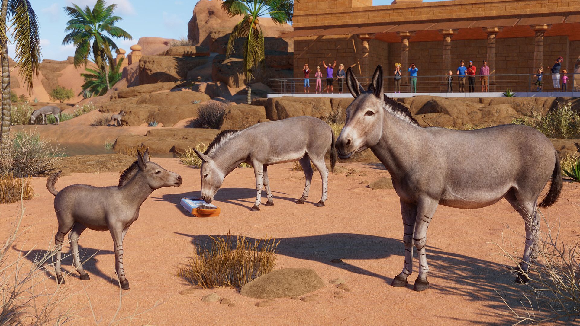 Planet Zoo: Arid Animal Pack