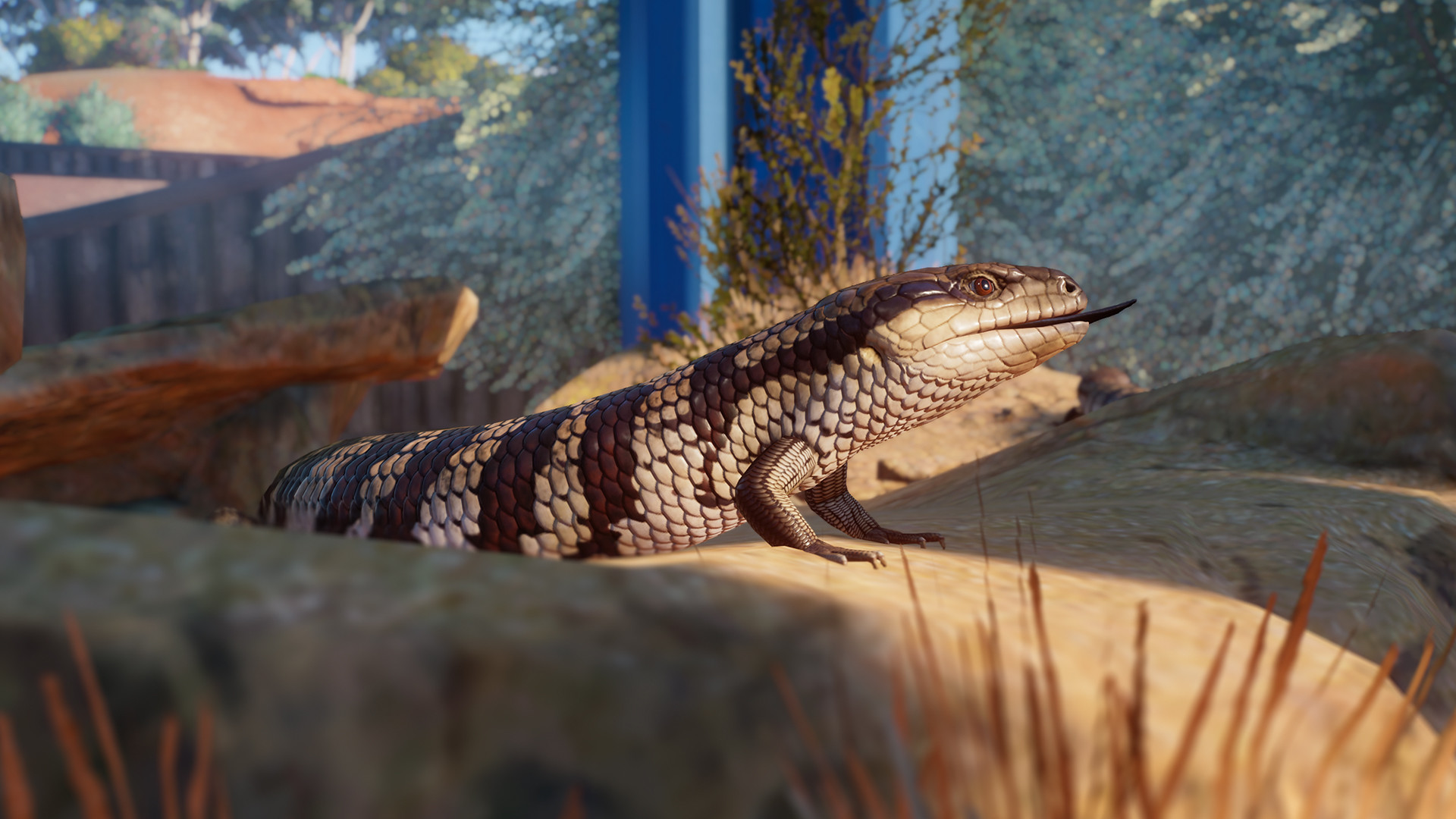 Planet Zoo: Australia Pack