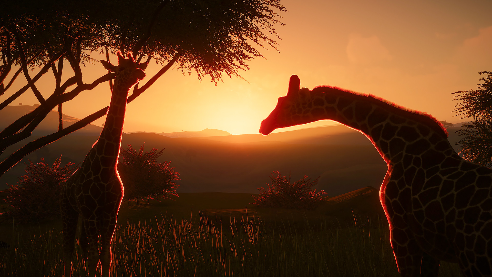 Planet Zoo - Deluxe Edition