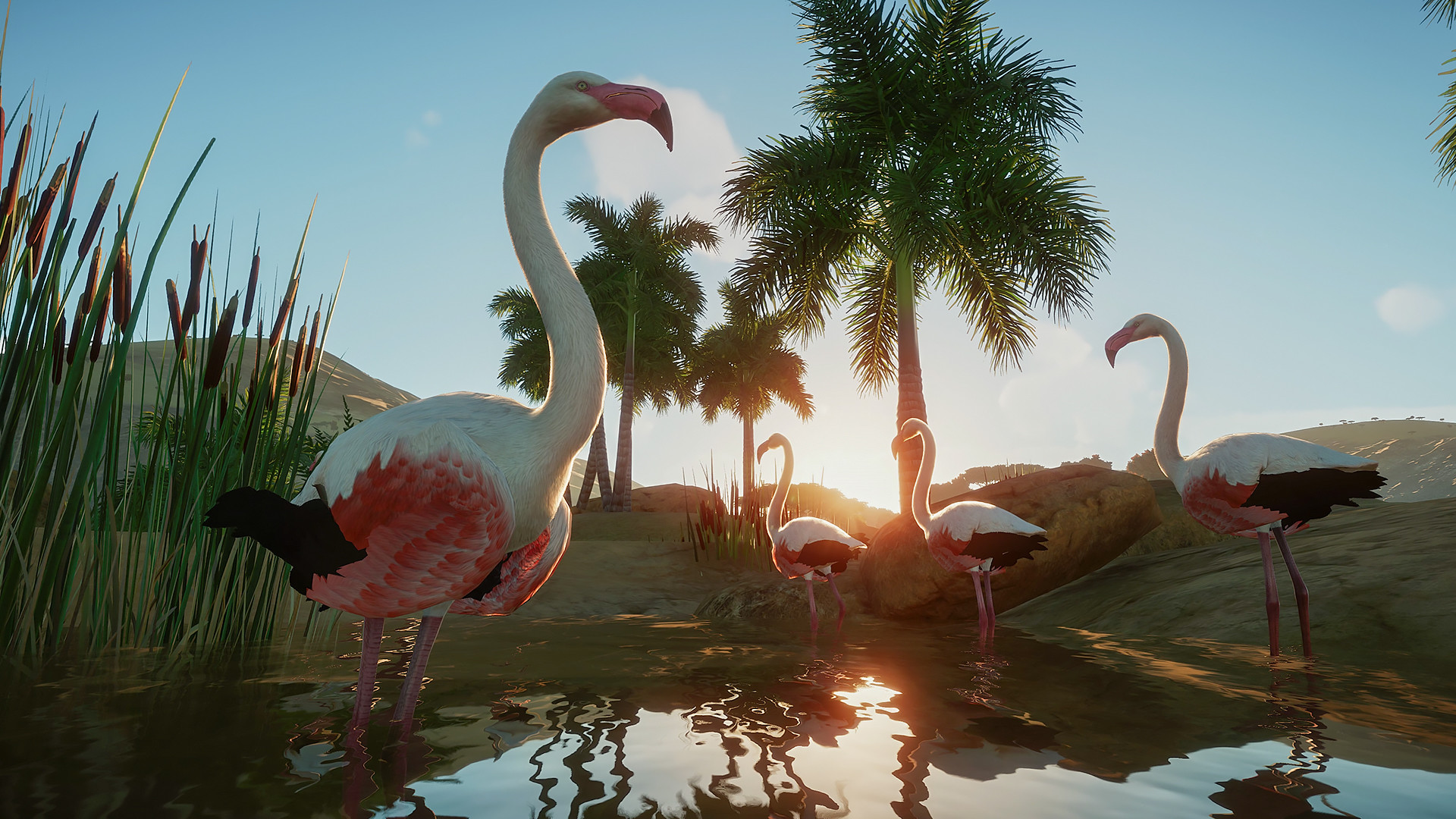 Planet Zoo - Deluxe Edition