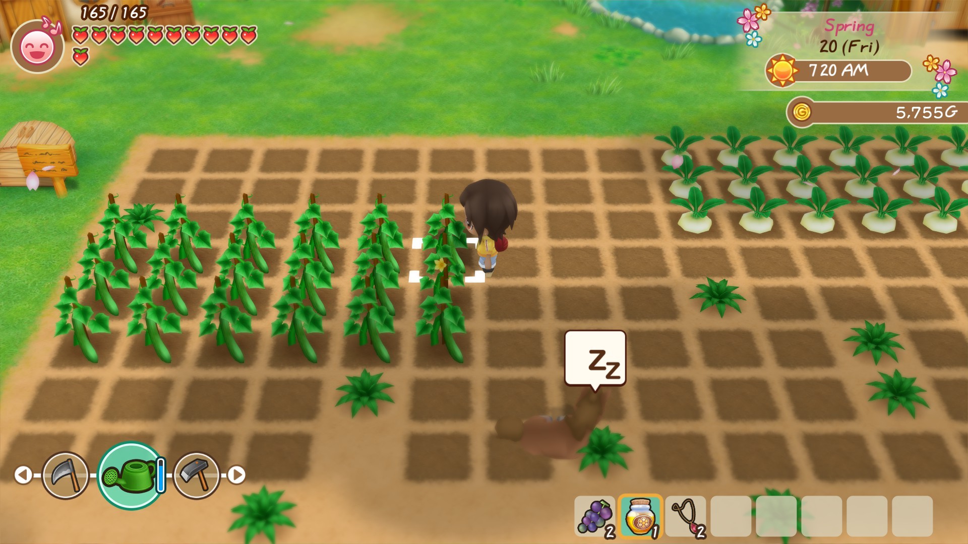 STORY OF SEASONS: Friends of Mineral Town