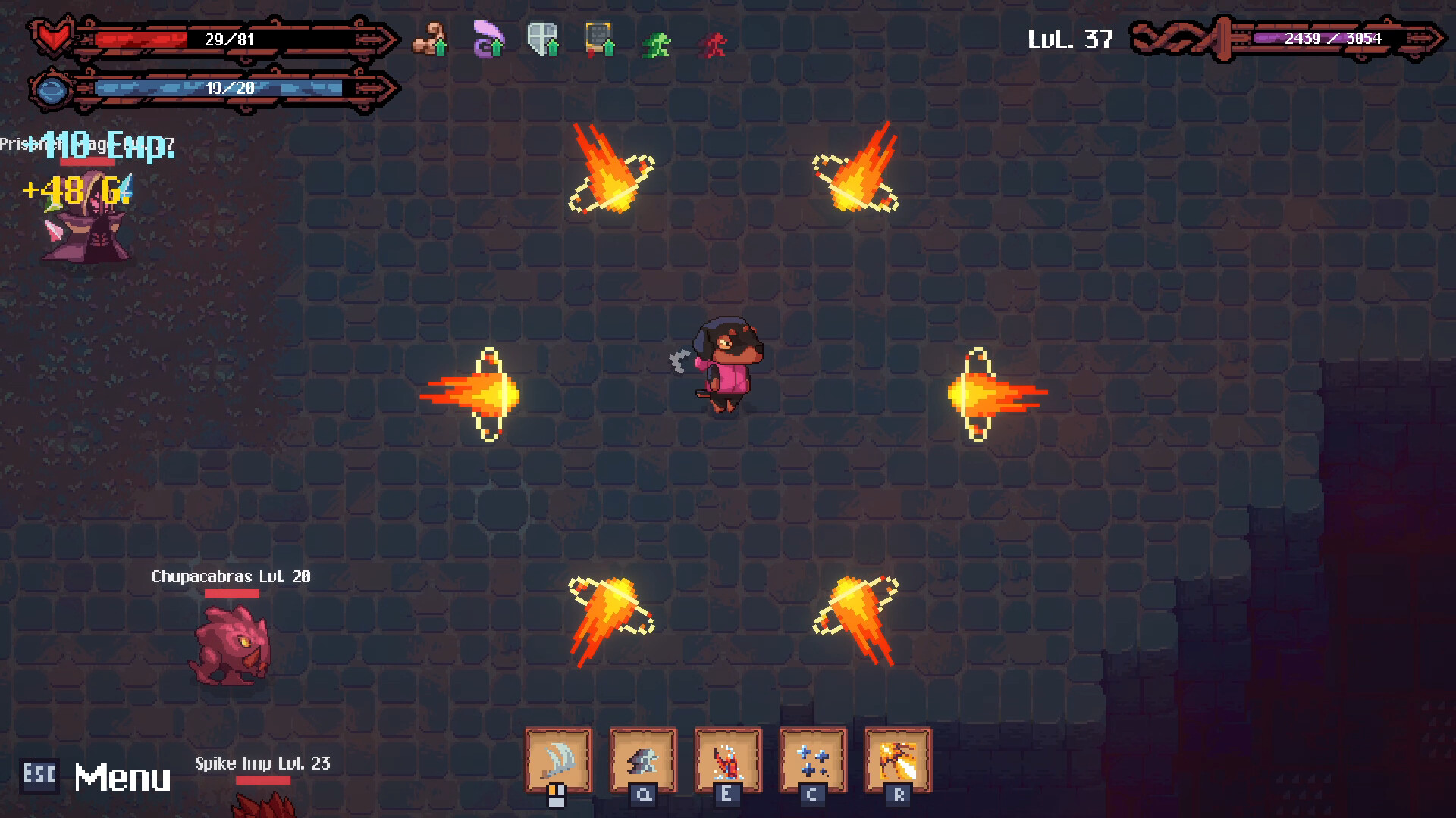 Donna: The Canine Quest