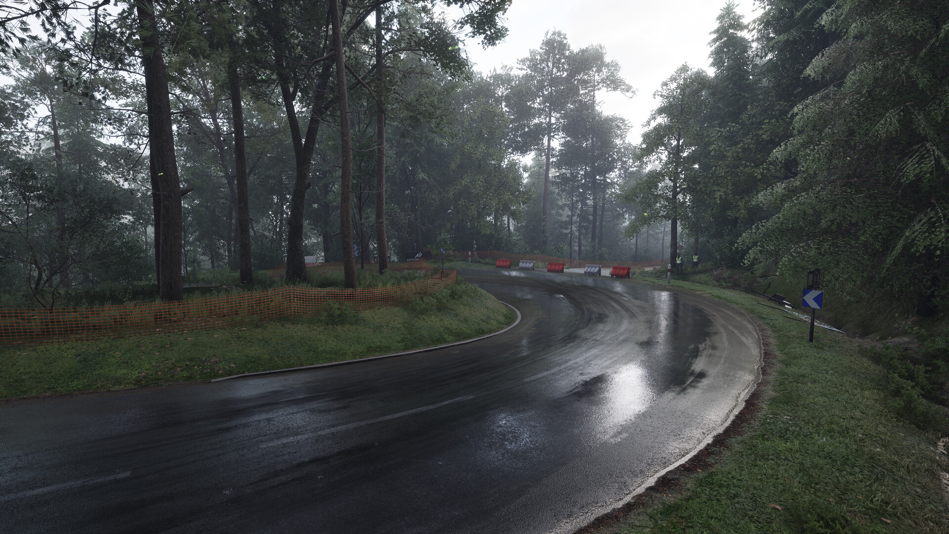Assetto Corsa Rally