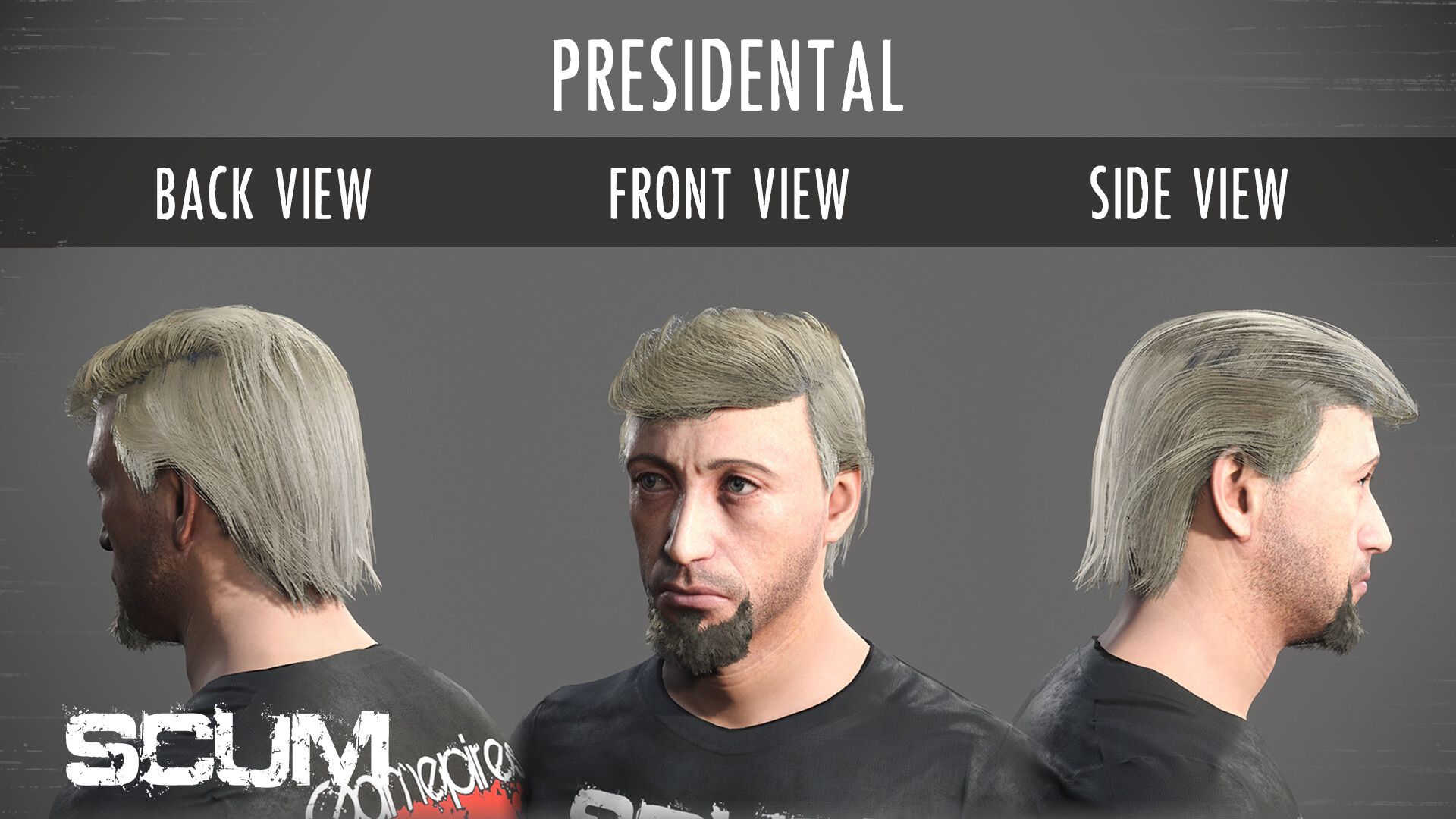 SCUM Male Hair Pack