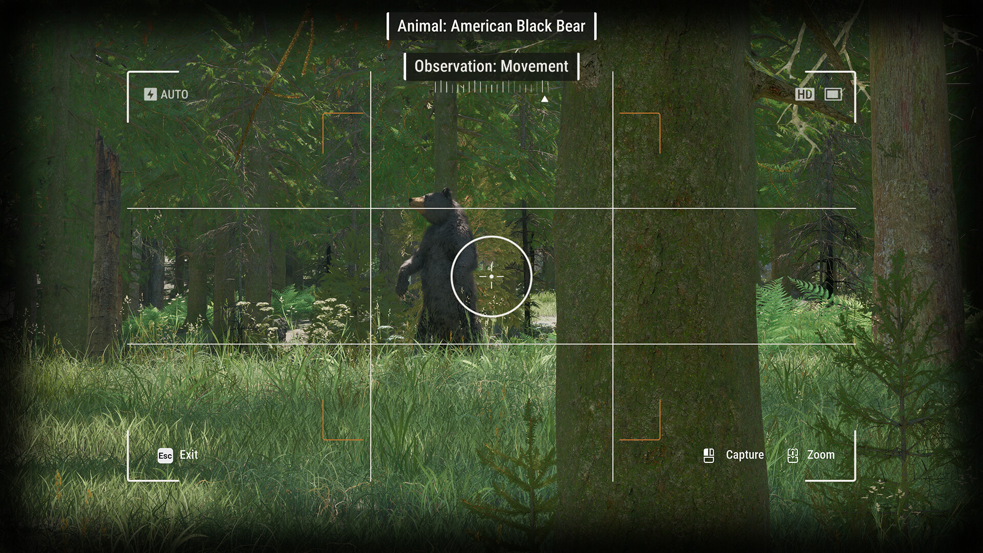 Ranger’s Path: National Park Simulator