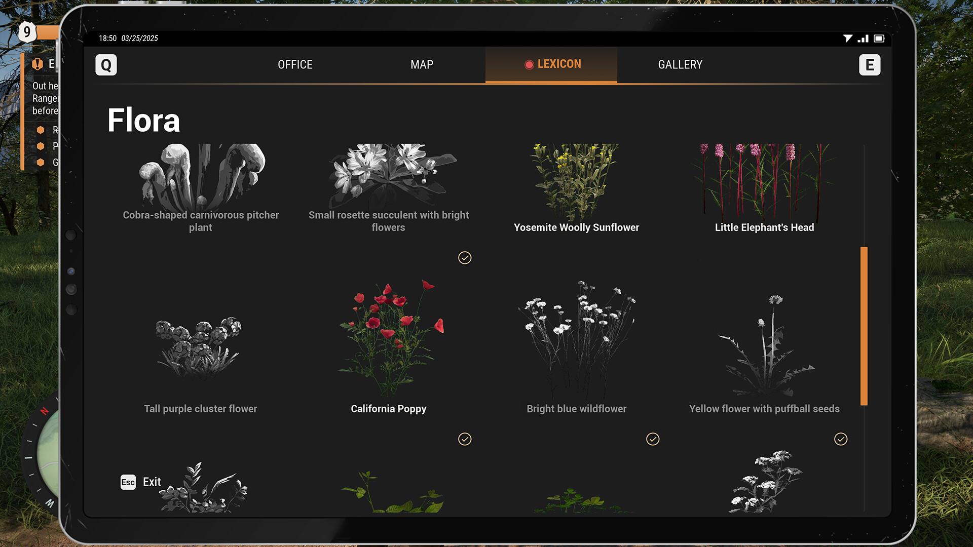 Ranger’s Path: National Park Simulator