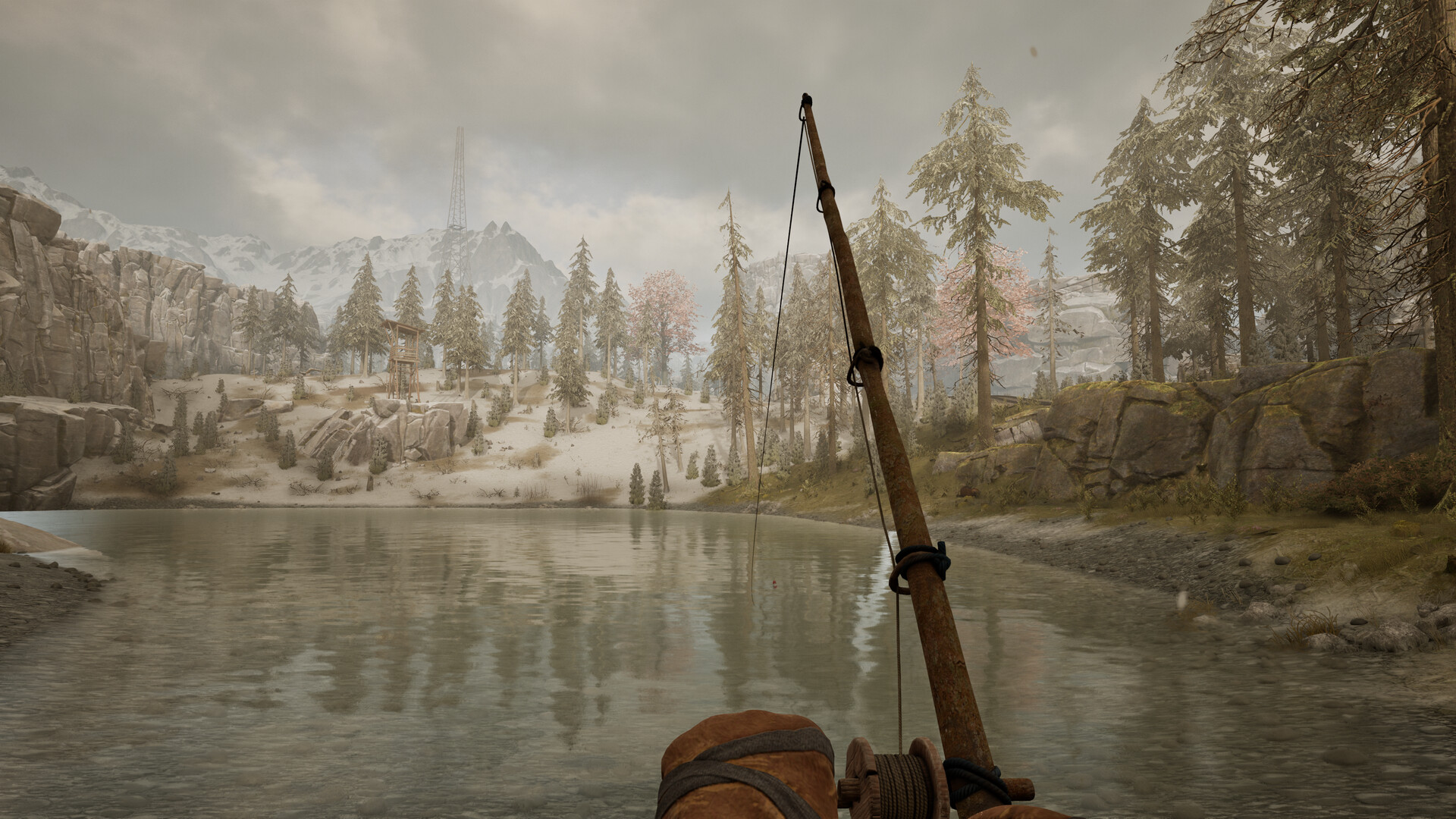 Winter Survival