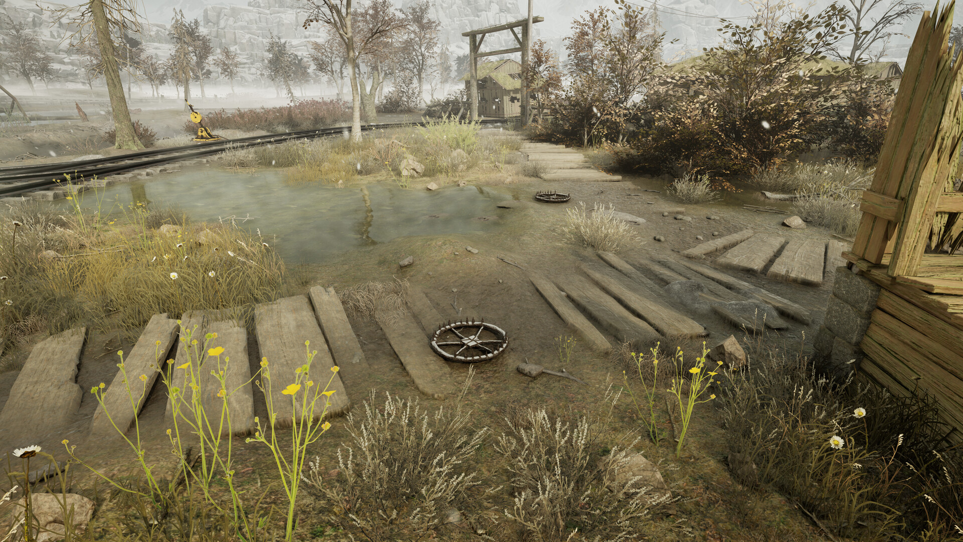 Winter Survival