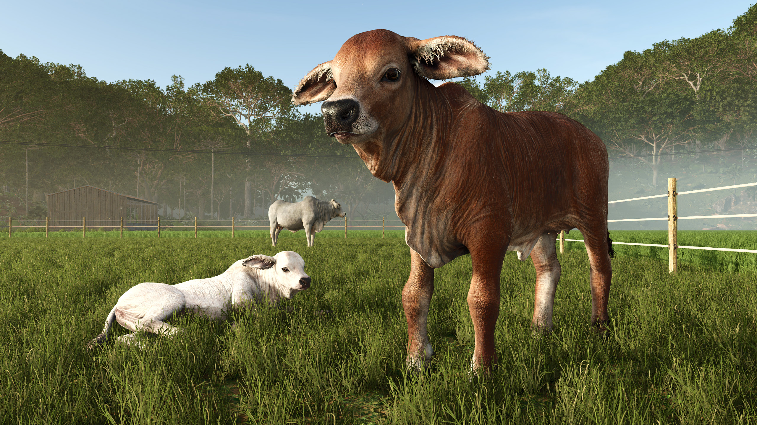 Farming Simulator 25: Beans & Alpacas Edition