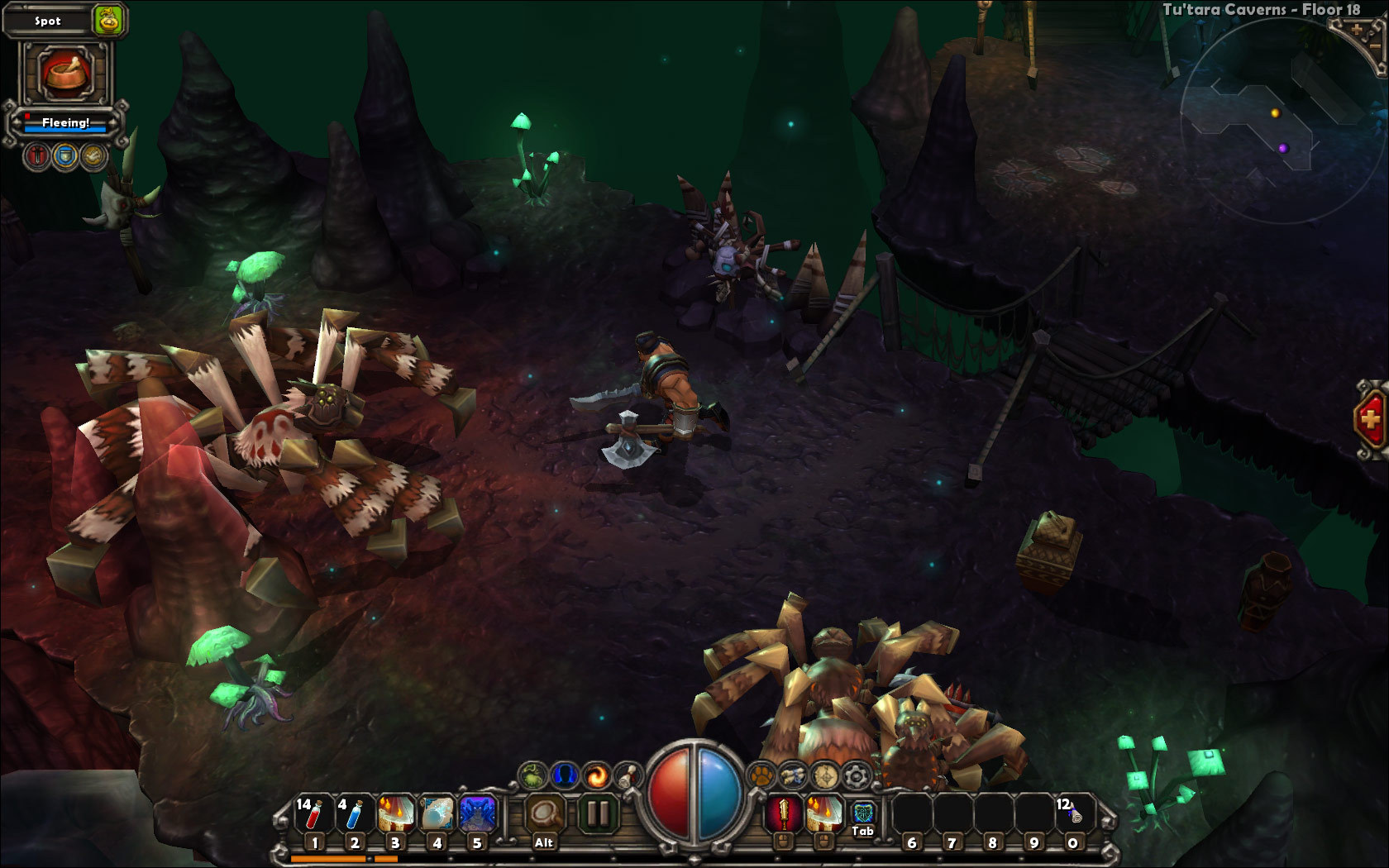 Torchlight