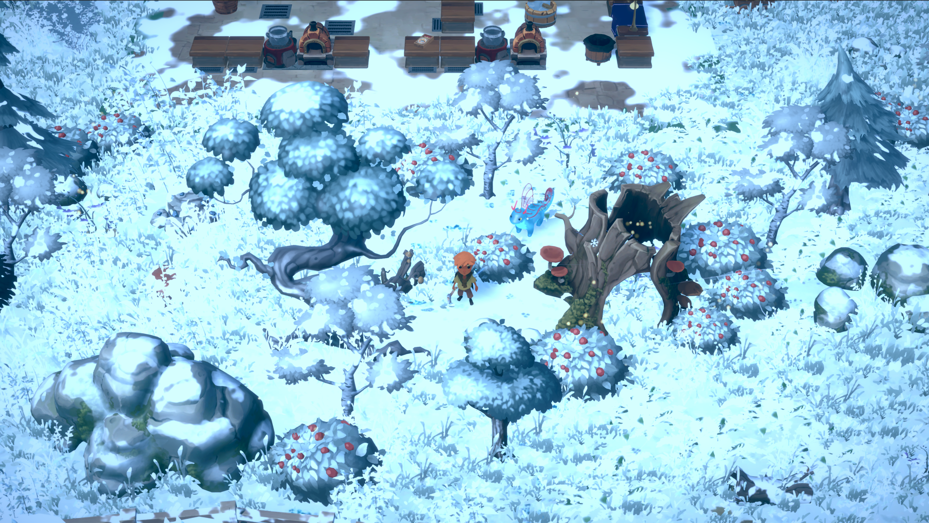 Dragon Shelter